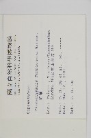紅檜藏品圖，第2張