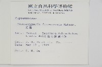 紅檜藏品圖，第2張