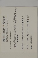 臺灣鐵杉藏品圖，第2張