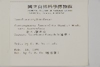 杉木藏品圖，第2張