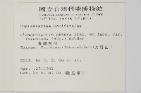 臺灣扁柏藏品圖，第2張