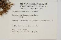 刺柏藏品圖，第2張