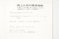 柳杉藏品圖，第2張