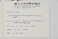 紅檜藏品圖，第2張