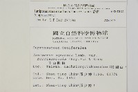 香青藏品圖，第2張