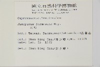 刺柏藏品圖，第2張