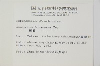 刺柏藏品圖，第2張