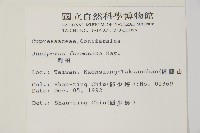 刺柏藏品圖，第2張