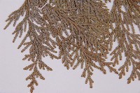 台灣肖楠藏品圖，第3張