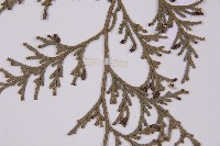 台灣肖楠藏品圖，第4張