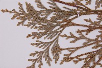 台灣肖楠藏品圖，第5張