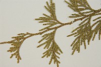 台灣肖楠藏品圖，第3張