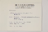 臺灣冷杉藏品圖，第2張