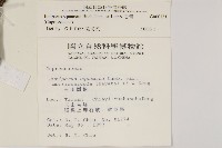 香青藏品圖，第2張