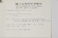 刺柏藏品圖，第2張