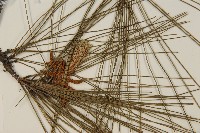 登錄號:G000157藏品圖，第4張