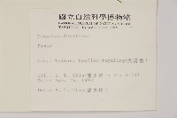 登錄號:G000158藏品圖，第2張