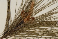 登錄號:G000158藏品圖，第3張