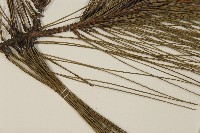 登錄號:G000158藏品圖，第5張