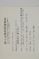 臺灣黃杉藏品圖，第2張