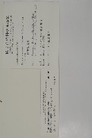 臺灣紅豆杉、紫杉、南方紅豆杉藏品圖，第2張