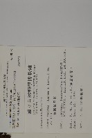 臺灣紅豆杉、紫杉、南方紅豆杉藏品圖，第2張