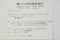 臺灣扁柏藏品圖，第2張