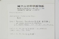刺柏藏品圖，第2張