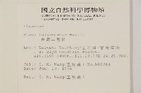 臺灣二葉松藏品圖，第2張