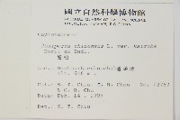 龍柏藏品圖，第2張
