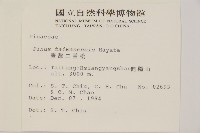 臺灣二葉松藏品圖，第2張