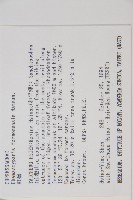 紅檜藏品圖，第2張