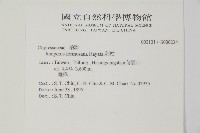 刺柏藏品圖，第2張