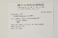 刺柏藏品圖，第2張