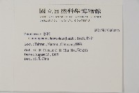 杉木藏品圖，第2張