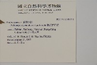 叢花百日青藏品圖，第2張