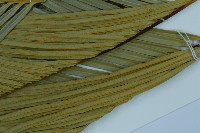 台東蘇鐵藏品圖，第4張