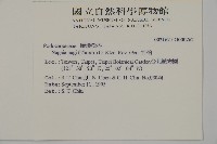 竹柏藏品圖，第2張
