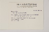 琉球松藏品圖，第2張