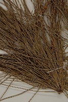 黑松藏品圖，第4張