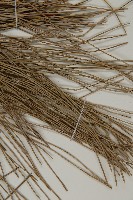 黑松藏品圖，第5張