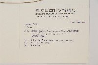 登錄號:G000268藏品圖，第2張