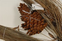 登錄號:G000268藏品圖，第3張