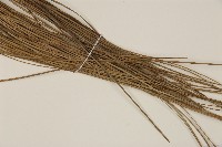 登錄號:G000268藏品圖，第5張