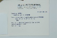 光果蘇鐵藏品圖，第2張