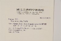 大王松藏品圖，第2張