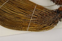 大王松藏品圖，第4張