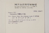 德達松、火炬松藏品圖，第2張