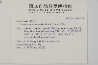 杉木藏品圖，第2張