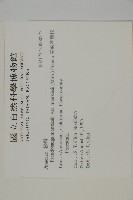 美國花旗松藏品圖，第2張